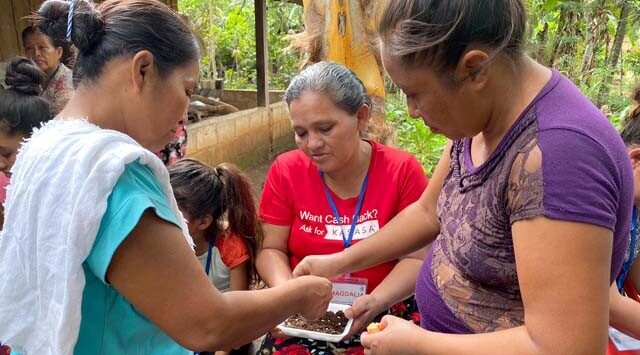 GUATEMALA_HUERTOS TRASPATIO2.jpg